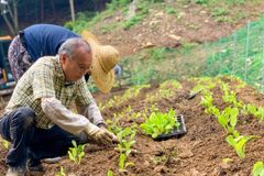 ‘84세 청년’ 김진홍 목사의 마지막 소명… ‘꿈꾸는 마을, 두레 시니어타운’을 가다