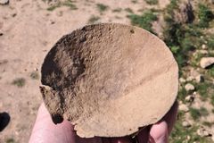 이스라엘 수시아서 1,500년 전 청동 저울 발견