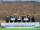 안동 산림 복구 2억 원 지원, 5,700그루 희망 심기