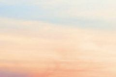 고민하고 절망하고 분노한 이들의 역사