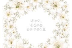 [신간] 덮은 우물