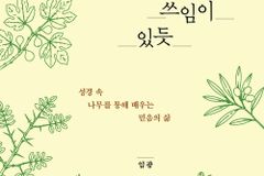 성경 속 나무를 통해 배우는 믿음의 삶