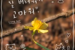 리빙소울, 첫 번째 CCM 싱글 ‘잘 버텨줘서 고마워’ 발매