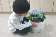 서울시 아동양육시설 임상심리사 부족… 감사위 “고위험군 아동 관리 한계”