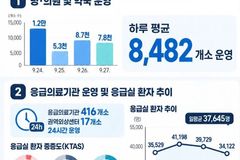 추석 연휴 응급실 환자 급증…하루 3만7645명