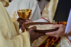 Circular letter to Bishops on the bread and wine for the Eucharist