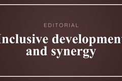 Inclusive development and synergy