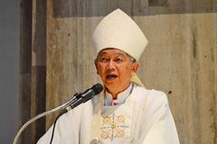 Govt’s war against Reds ’doomed to fail’ — bishop