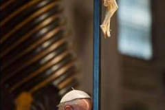 Pope Francis offers prayers after deadly Nigeria attack