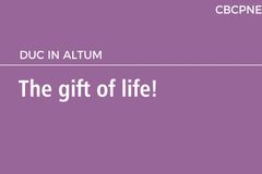 The gift of life!