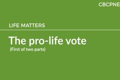 The pro-life vote