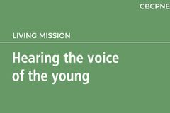 Hearing the voice of the young