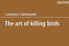 The art of killing birds