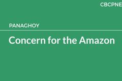Concern for the Amazon
