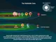 Newly discovered planet a testament to Earth’s ‘startling uniqueness’