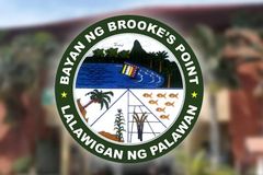 Palawan LGU, hinamong ipagbawal ang logging at pagmimina sa lalawigan