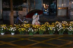 Fireworks, flowers in Wuhan for Lunar New Year but grief lingers