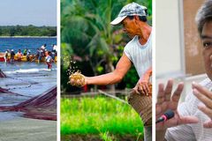 Pamumuhunan ng pamahalaan sa sektor ng agrikultura at pangisdaan, isinusulong na batas ng Mindanao solon