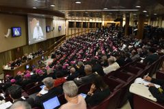 Priestly celibacy discussed as Amazon synod gets underway
