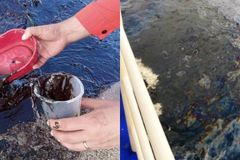 Karagatan ng Mindoro, isang taon bago malinis sa oil spill