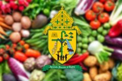 Organic vegetable, isinusulong ng Apostolic Vicariate of Taytay Palawan