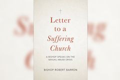 Bishop Barron says book on abuse crisis written from his ‘pastor’s heart’