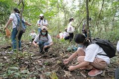 Caritas PH launches ‘bamboo forest’ project to help fight climate change
