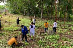 Bohol diocese plants 60k trees in single day