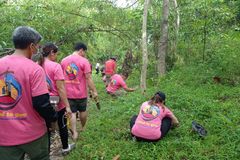 Bulacan parish plants bamboo for 500YOC