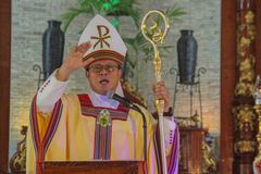 Bishop decries resumption of OceanaGold mine operations