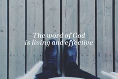 February 26, 2017  – MT 6:24-34