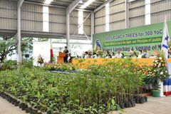 Cebu archdiocese to create ‘ecological ministry’ in parishes