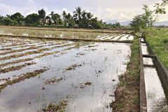 Tutukan ang Pagsasaayos ng irrigation canals, hamon ng Obispo sa pamahalaan