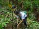 Church in Palawan aims to plant 10k trees