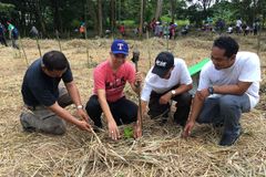 Palawan diocese marks Season of Creation with tree planting