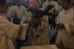 Cardinal leads Hagonoy fiesta on 25th shrine anniversary