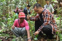 Palawan Church plants 10K trees in protected area