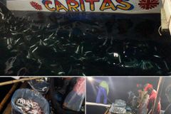 In Sorsogon, Church helps feed the needy with fish