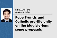 Pope Francis and Catholic pro-life unity  on the Magisterium: some proposals