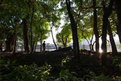 Covid-19 calls for ‘ecological conversion’, says Caritas PH