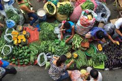 “Nutrition is a social investment”