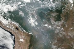 Pope, bishops urge action to save burning Amazon rainforest