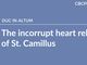 The incorrupt heart relic of St. Camillus
