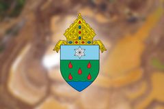 Pagpapahinto sa pagmimina sa Eastern Samar, panawagan ng Diocese of Borongan