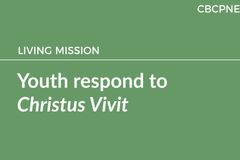 Youth respond to Christus Vivit