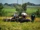 Farmers warn gov’t of possible rice price manipulation schemes