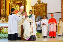 Capiz archbishop bestowed with pallium,  urged to ‘search for the lost sheep’