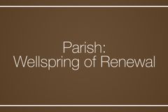 Parish: Wellspring of Renewal