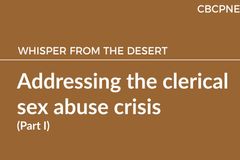 Addressing the clerical sex abuse crisis  (Part I)