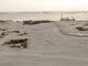 Church eco-group to form human chain against Manila Bay reclamation